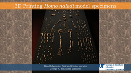 Homo Naledi Model Specimens
