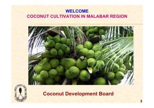 Coconut Cultivation in Malabar Region