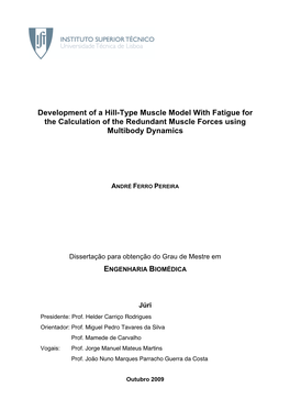 Development of a Hill-Type Muscle Model with Fatigue for the Calculation of the Redundant Muscle Forces Using Multibody Dynamics