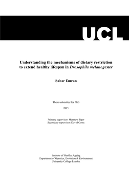 Understanding the Mechanisms of Dietary Restriction to Extend Healthy Lifespan in Drosophila Melanogaster