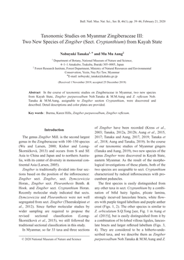 Taxonomic Studies on Myanmar Zingiberaceae III: Two New Species of Zingiber (Sect. Cryptanthium) from Kayah State