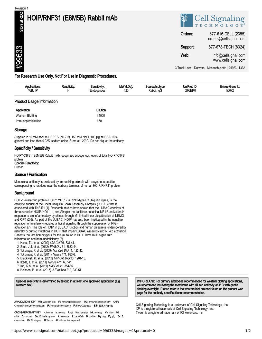 99633 HOIP/RNF31 (E6M5B) Rabbit Mab