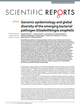 Genomic Epidemiology and Global Diversity of the Emerging Bacterial