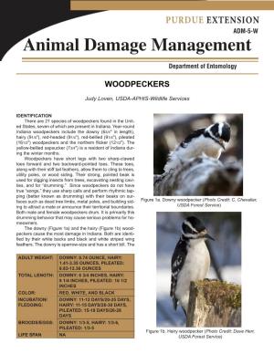 Animal Damage Manag Ement Department of Entomology �