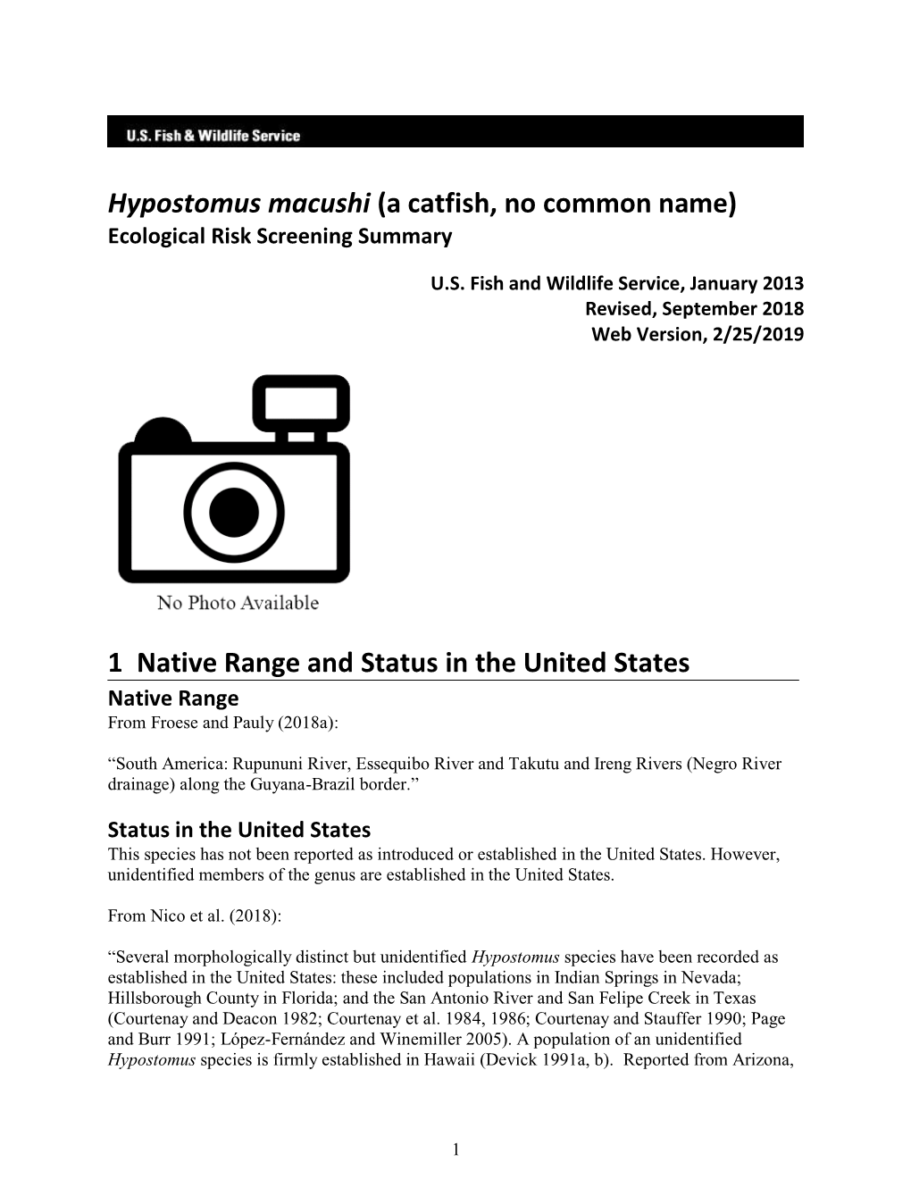 Hypostomus Macushi (A Catfish, No Common Name) Ecological Risk Screening Summary