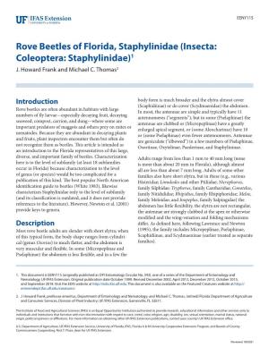 Rove Beetles of Florida, Staphylinidae (Insecta: Coleoptera: Staphylinidae)1 J