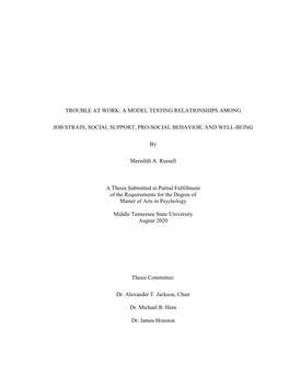 A Model Testing Relationships Among Job Strain, Social