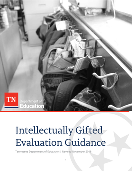 Intellectually Gifted Evaluation Guidance for Their Time and Effort