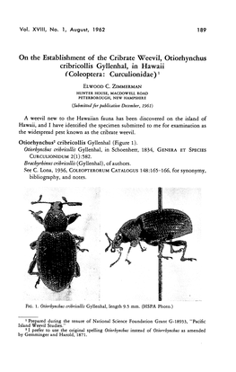 On the Establishment of the Cribrate Weevil, Otiorhynchus Cribricollis Gyllenhal, in Hawaii ( Coleoptera: Curculionidae )X