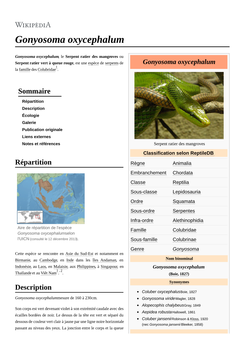 Gonyosoma Oxycephalum