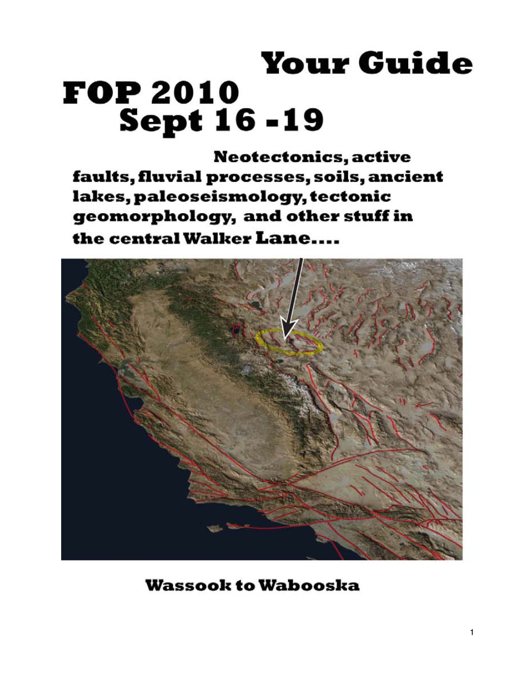 Fop2010guide.Pdf