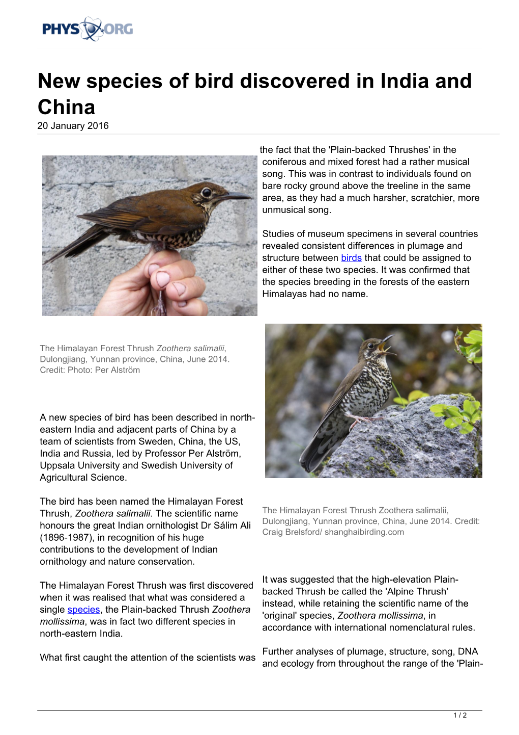 New Species of Bird Discovered in India and China 20 January 2016