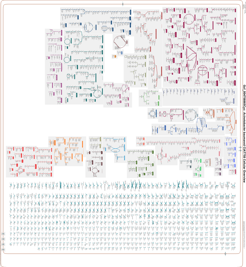 Generated by SRI International Pathway Tools Version 25.0, Authors S