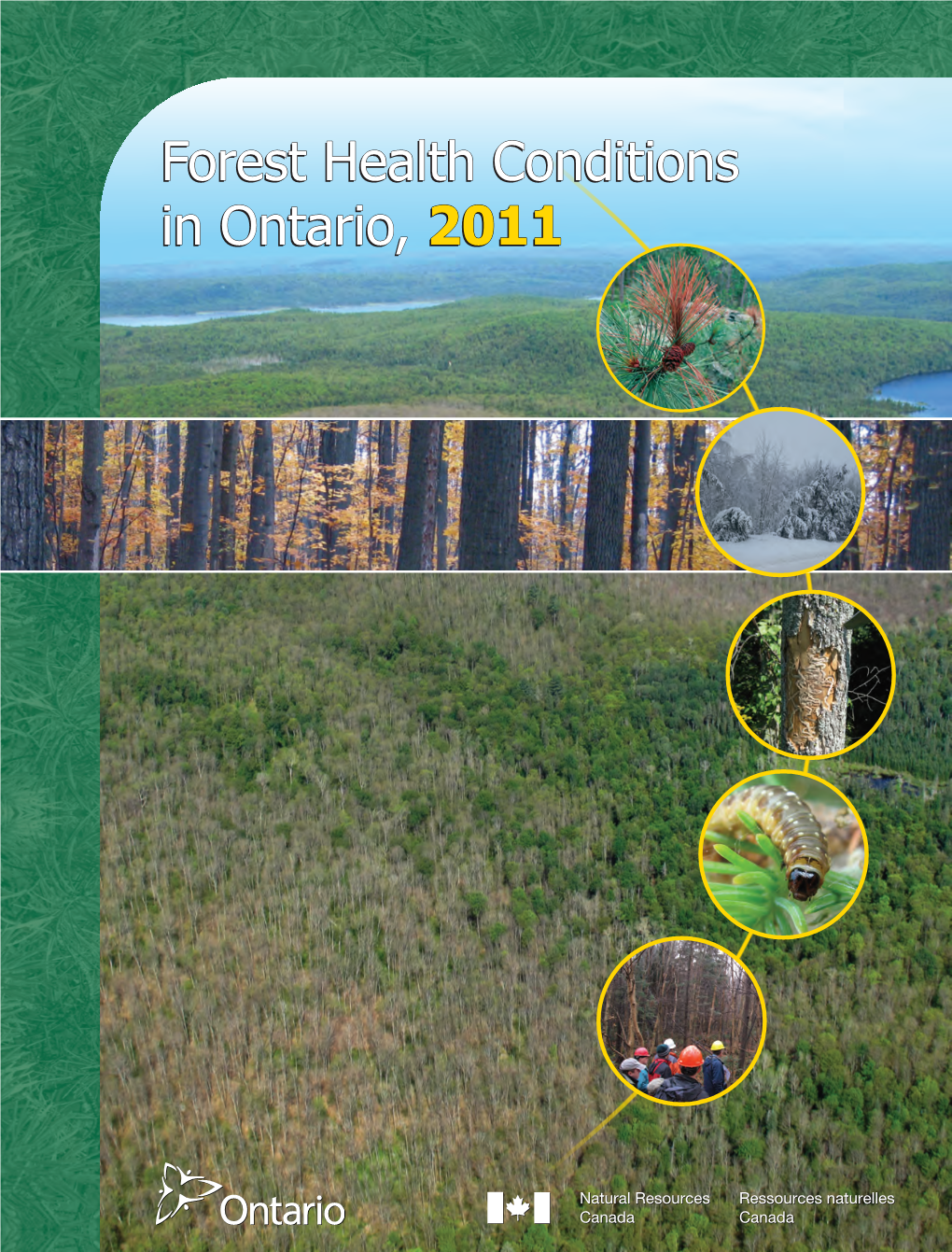 Forest Health Conditions in Ontario, 2011 Forest Health Conditions in Ontario, 2011