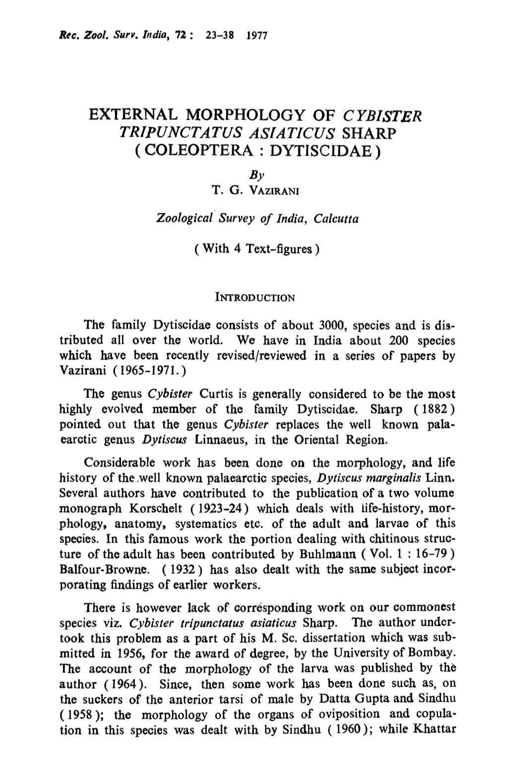 External Morphology of Cybister ( Coleoptera