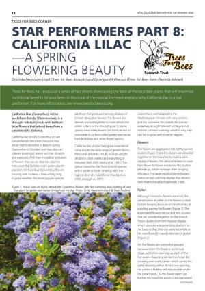 Star Performers Part 8: California Lilac
