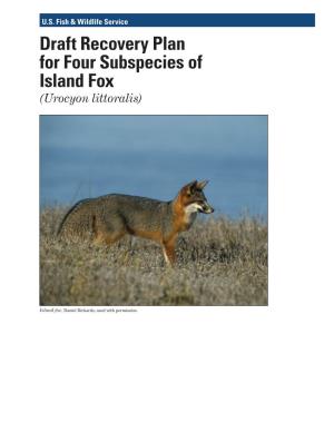 Draft Recovery Plan for Four Subspecies of Island Fox (Urocyon Littoralis)