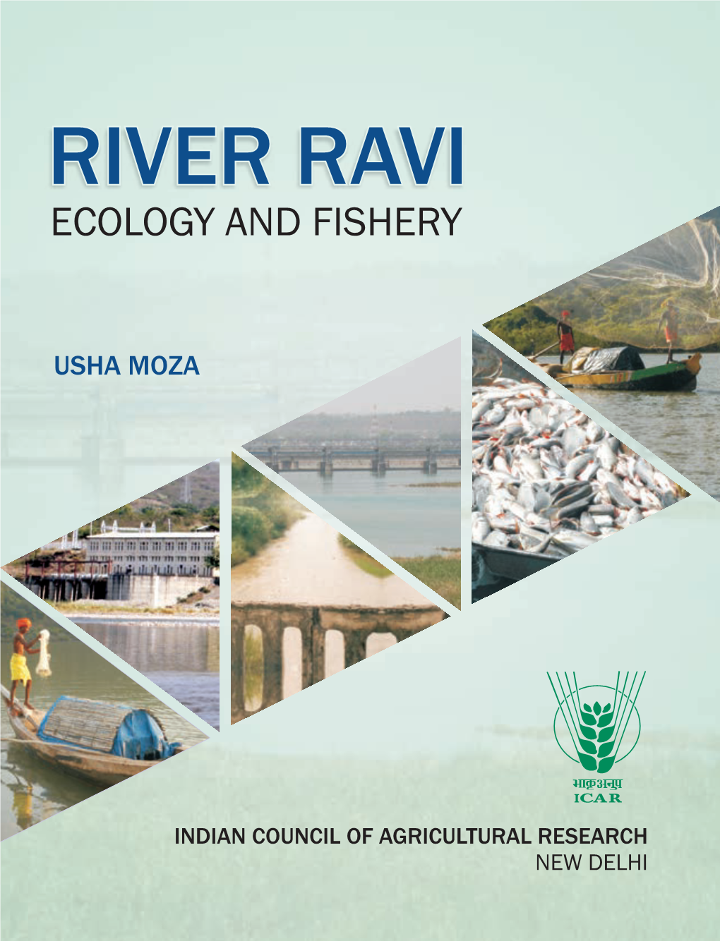 River Ravi Ecology and Fishery