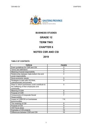 Business Studies Grade 12 Term Two Chapter 6 Notes Csr and Csi 2019