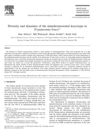 Diversity and Dynamics of the Minichromosomal Karyotype in Trypanosoma Brucei 