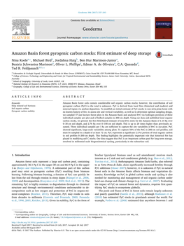 Amazon Basin Forest Pyrogenic Carbon Stocks First