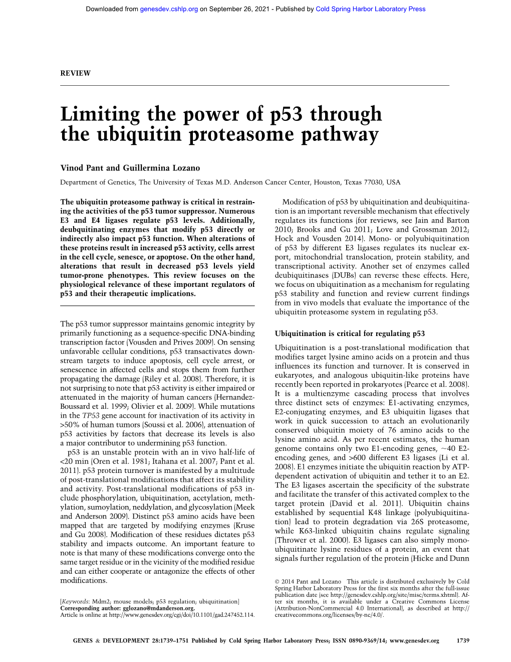 Limiting the Power of P53 Through the Ubiquitin Proteasome Pathway