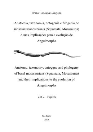 Anatomia, Taxonomia, Ontogenia E Filogenia De Mosassaurianos Basais (Squamata, Mosasauria) E Suas Implicações Para a Evolução De Anguimorpha