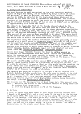 INVESTIGATION of SWAMP :8'RANCOLIN (Francolinus Gularis) Ai\JD OTHER 1. Background Information \ the Kosi Barrage Is V~Ell Recog