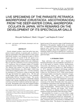 Madrepora Oculata in Japan, with Remarks on the Development of Its Spectacular Galls