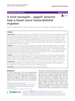 A Novel Neuregulin – Jagged1 Paracrine Loop in Breast Cancer Transendothelial Migration Ramon M