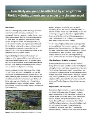 How Likely Are You to Be Attacked by an Alligator in Florida – During a Hurricane Or Under Any Circumstance?