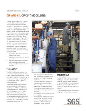 Cip and Cil Circuit Modelling