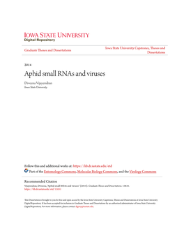 Aphid Small Rnas and Viruses Diveena Vijayendran Iowa State University