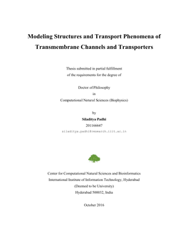 Modeling Structures and Transport Phenomena of Transmembrane Channels and Transporters