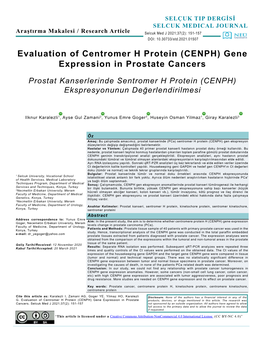 (CENPH) Gene Expression in Prostate Cancers