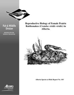 Reproductive Biology of Female Prairie Rattlesnakes (Crotalus Viridis Viridis) in Alberta