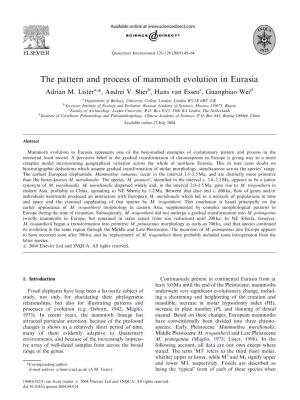 The Pattern and Process of Mammoth Evolution in Eurasia Adrian M