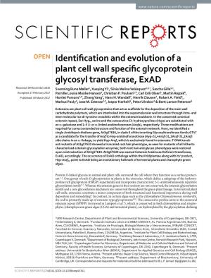 Identification and Evolution of a Plant Cell Wall Specific Glycoprotein