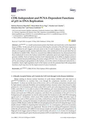 CDK-Independent and PCNA-Dependent Functions of P21 in DNA Replication