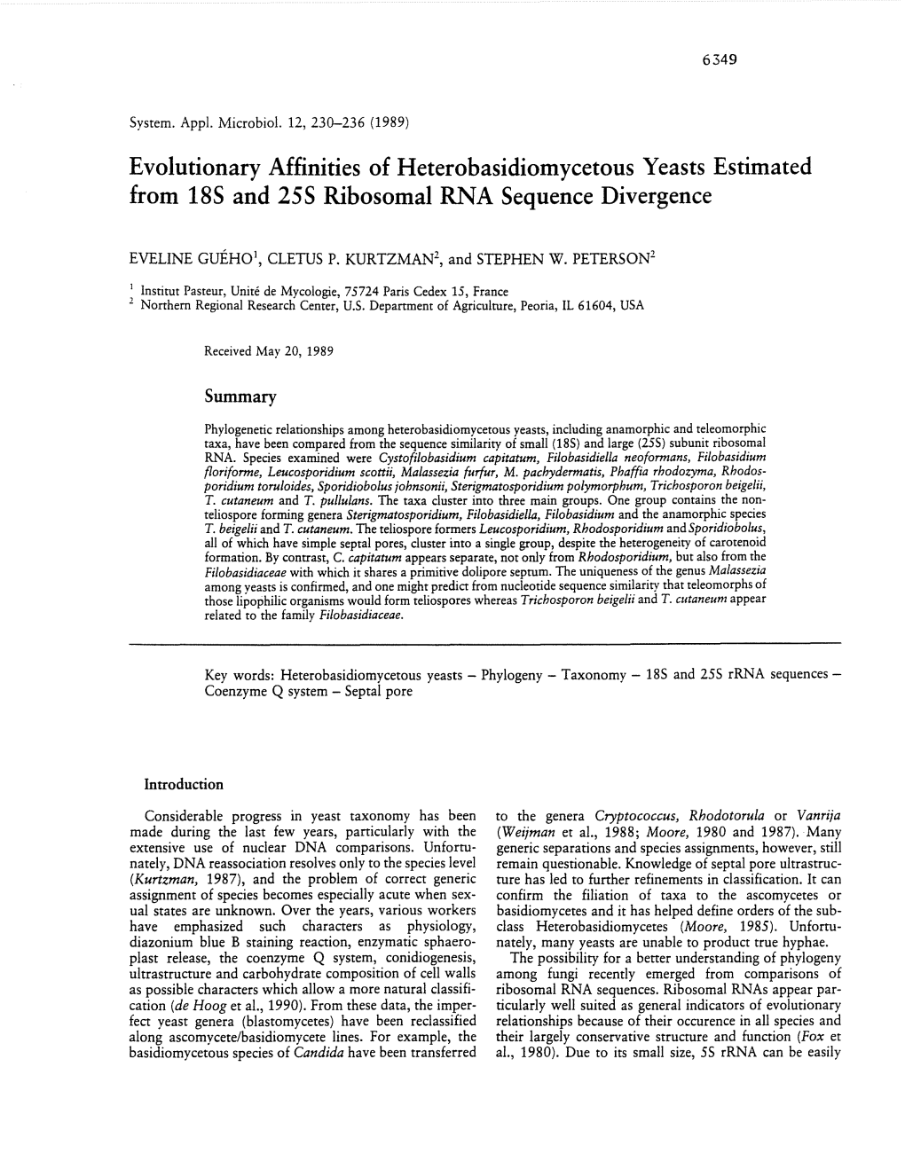 Evolutionary Affinities of Heterobasidiomycetous Yeasts Estimated from 185 and 255 Ribosomal RNA Sequence Divergence