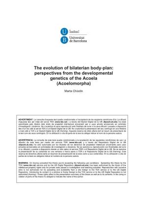 The Evolution of Bilaterian Body‐Plan: Perspectives from the Developmental Genetics of the Acoela (Acoelomorpha)