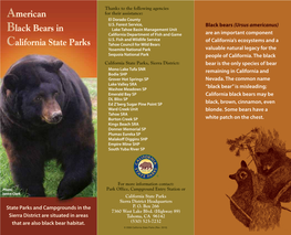 American Black Bears in California State Parks
