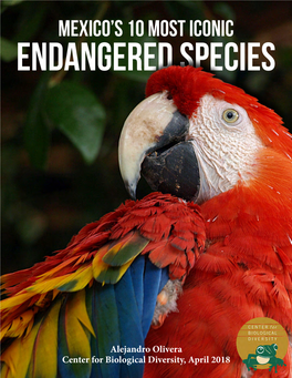 Mexico's Ten Most Iconic Endangered Species