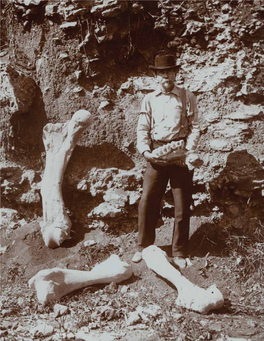More Than a Fossil-Hunter: the Life and Pursuits of Charles W. Beehler