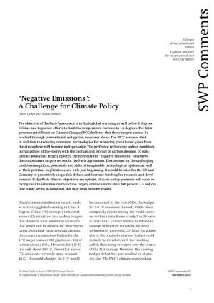 Negative Emissions”: a Challenge for Climate Policy WP S Oliver Geden and Stefan Schäfer