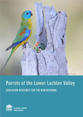 Parrots of the Lower Lachlan Valley EDUCATION RESOURCE for the NSW RIVERINA