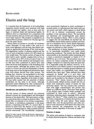Elastin and the Lung