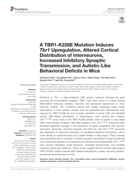 A TBR1-K228E Mutation Induces Tbr1 Upregulation, Altered Cortical