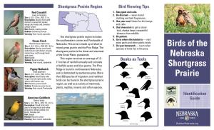 Birds of the Nebraska Shortgrass Prairie