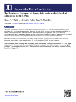 Synthesis and Transport of Lipoprotein Particles by Intestinal Absorptive Cells in Man